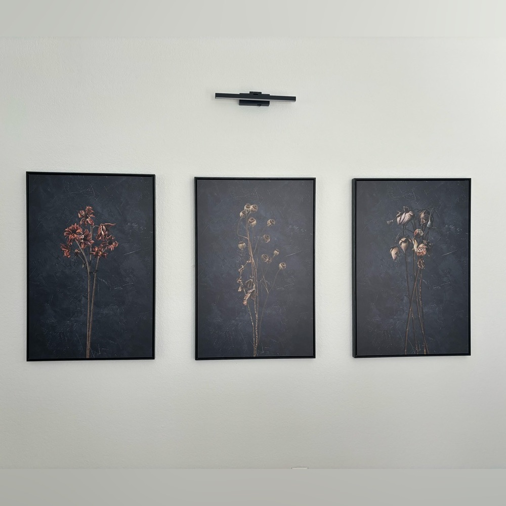 Black Wall Decor Set of Three. Black Frame, Dried Flowers